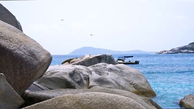 New Emerald Cove Hotel 4* смотреть онлайн