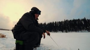 ЗИМНЯЯ РЫБАЛКА НА БАЛАНСИР ESOX ЛОВЛЯ ОКУНЯ  #КАРЕЛИЯ