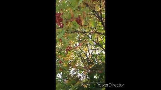 С любовью к тебе, Красногорск! смотреть онлайн
