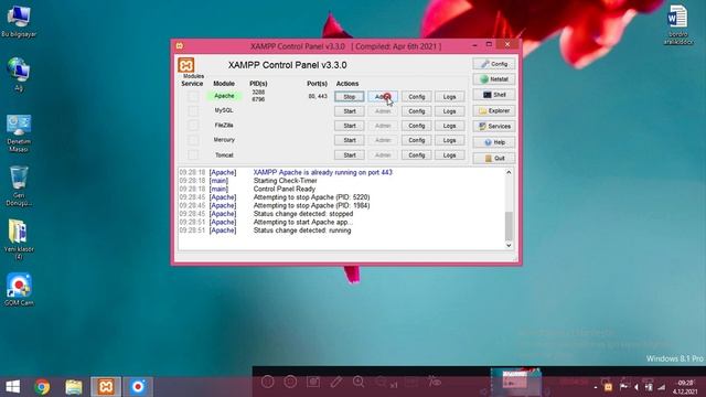 PHP Ve Xampp'e Giriş смотреть онлайн