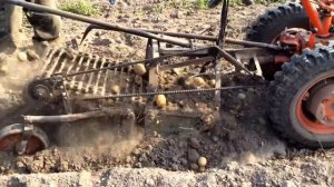 Транспортерная копалка для мотоблока МТЗ-06 Беларус !!! Harvesting potatoes!!!