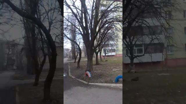 Антрацит ул.парковоя #1 смотреть онлайн
