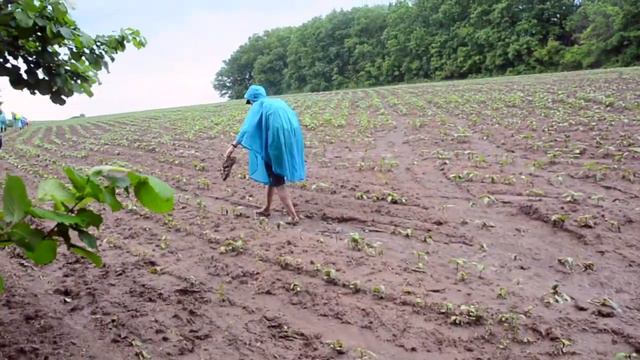 Песнь света и воды смотреть онлайн
