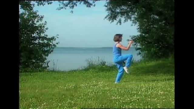 Yang Style Tai Chi, Cheng Man Ch'ing Form Demonstration смотреть онлайн