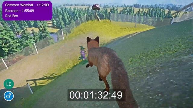 Twilight Animal Pack Speed Races in Planet Zoo the NEW Twilight DLC included Wombat, Raccoon etc смотреть онлайн