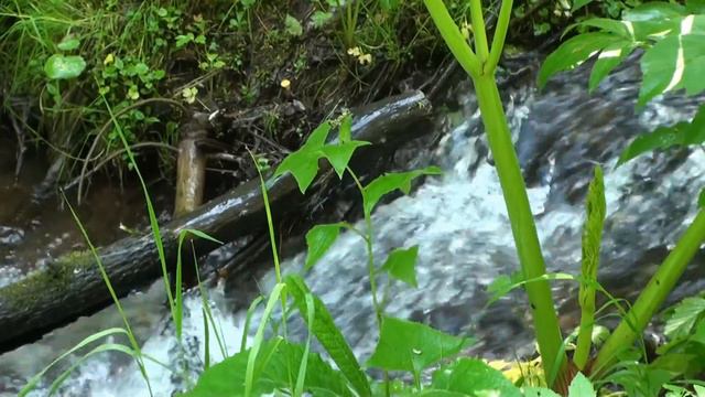 Изумруды Моховой смотреть онлайн