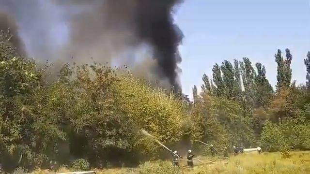 Мой город Н: пожар в Николаеве возле Бугского бульвара смотреть онлайн