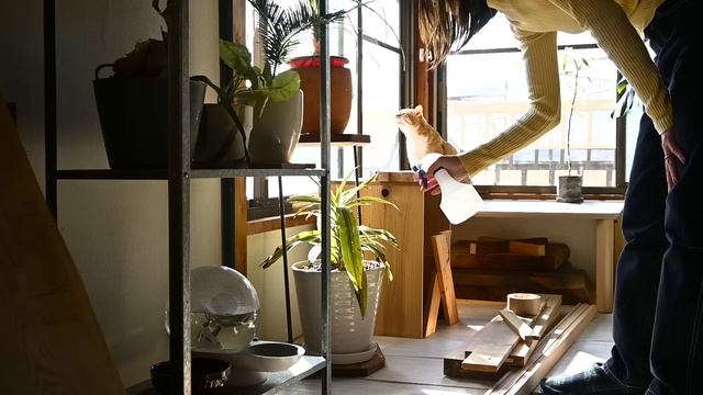 #76 かけがえのない平凡な休日🐈｜おじさんネコの新しい日課 смотреть онлайн