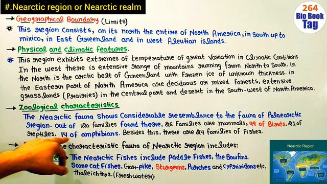 Nearctic region|| Nearctic realm|| B.Sc 2 year Zoology second paper смотреть онлайн