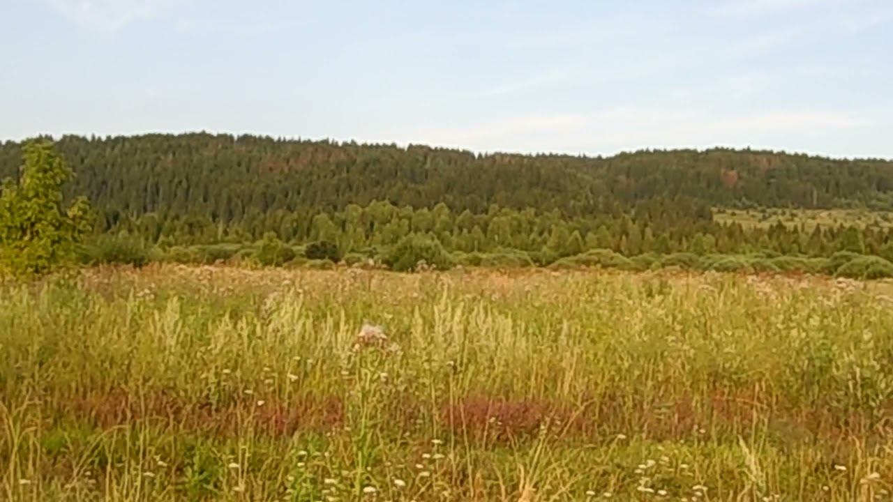 Горим или хочем гореть? смотреть онлайн