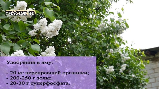 Готовка в Кемпинге и на Походах