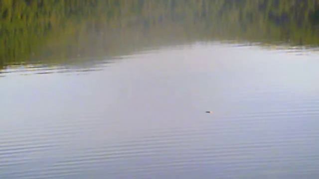 с причала.бешенный клев. смотреть онлайн