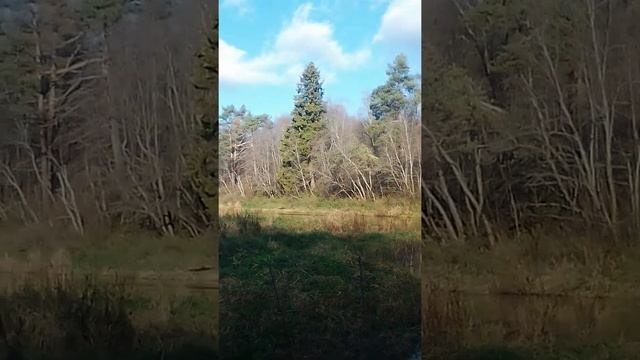 Река Сить село Красное смотреть онлайн