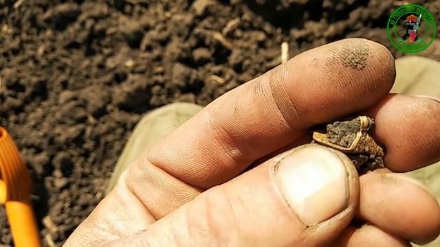 НАУКА НЕ МОЖЕТ ОБЪЯСНИТЬ КАК ОН ТАМ ОКАЗАЛСЯ НО ЭТО ФАКТ. смотреть онлайн