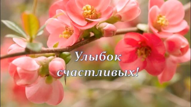 поздравить с юбилеем женщину прикольно смотреть онлайн