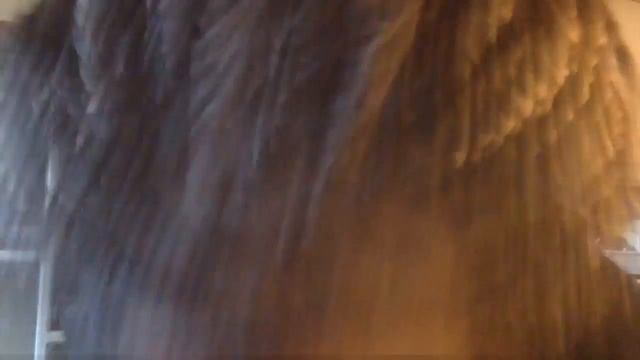 Donald Trump "We Need To Build A Wall" смотреть онлайн