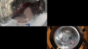 Wash Race No.4: (Old) Beko vs (New) Beko - Daily Wash 40° (Full Cycle)