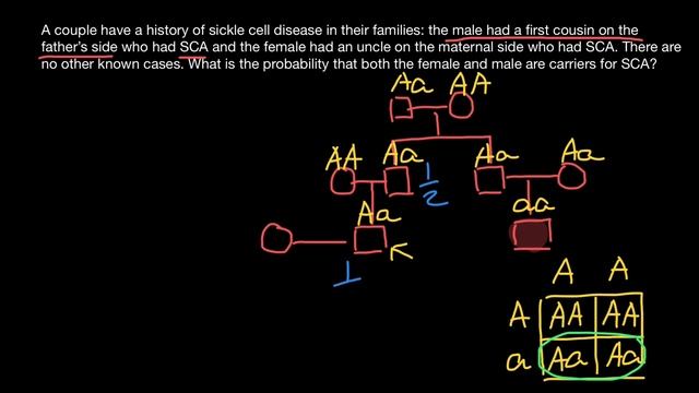 How to use Pedigree to Solve Probability Problems смотреть онлайн