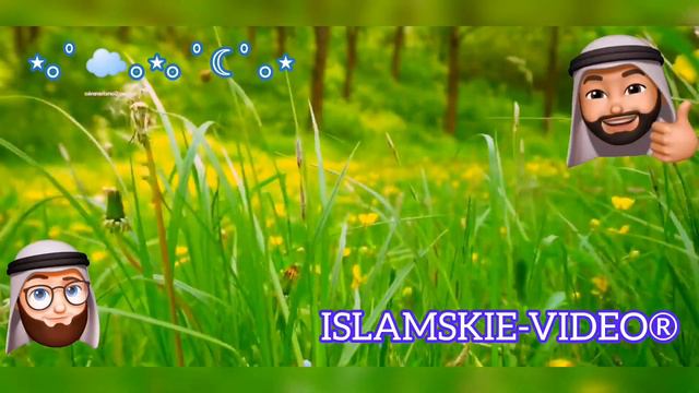 2 джуз Корана. смотреть онлайн