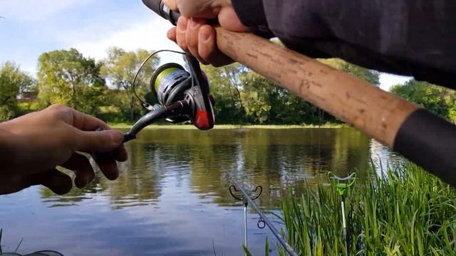 РЕЧНОЙ КАРАСЬ на фидер и флэт метод | Ловля чубука в июне смотреть онлайн