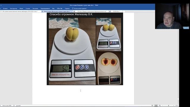 Семена, черенки и саженцы сибиряков Железовых в Европе.