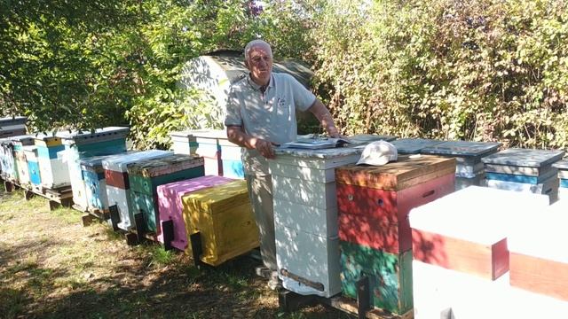 Уксус снижает продуктивность пчел смотреть онлайн