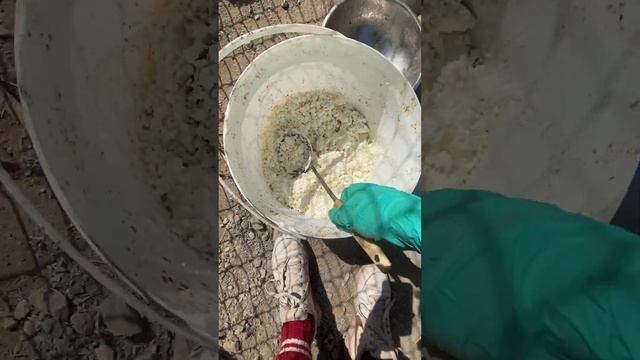 Как проходит день волонтёра в приюте Академгородка? Что делает волонтёр в приюте? смотреть онлайн