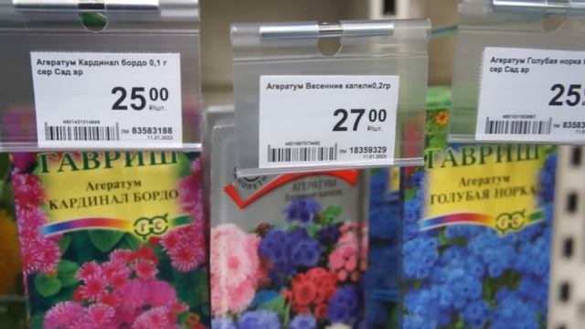 Леруа Мерлен: семена цветов. Обзор семян петунии. смотреть онлайн