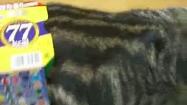 Забавные животные 31 смотреть онлайн