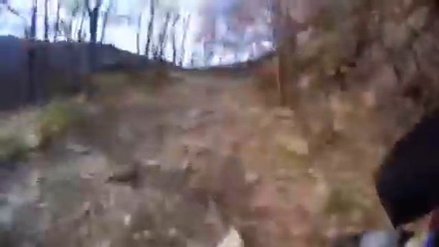 My & bicocclone adventure in mulattiera смотреть онлайн