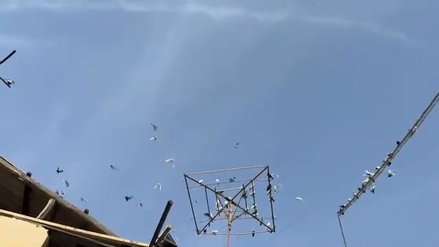 8 ноября 2023 г. смотреть онлайн