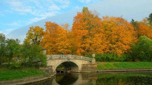 🍂Золотая осень в Павловском парке・Пригороды・Прогулка по Питеру・Санкт-Петербург・СПб・Алексей Михайлов