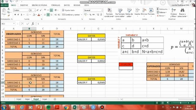 Cálculo de la Prueba de la Probabilidad Exacta de Fisher смотреть онлайн