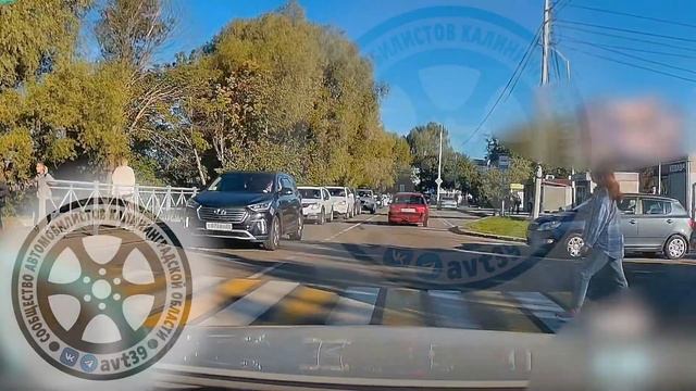 Случай на ул. Горького в Калининграде. 05.09.23 смотреть онлайн