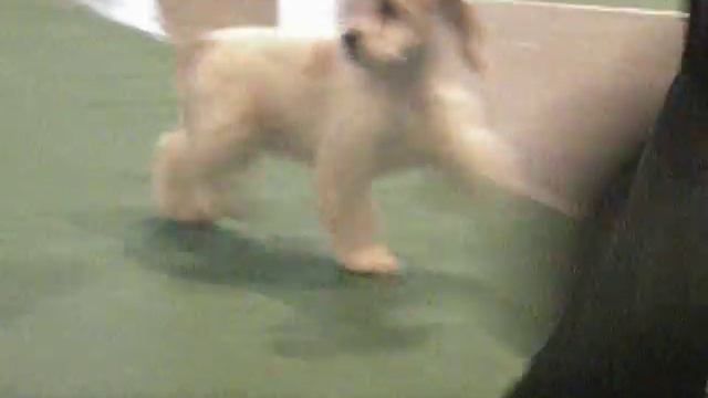 29.01.2011 года,