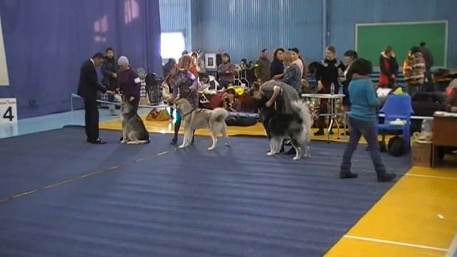 Бэгги и Герда продолжение смотреть онлайн