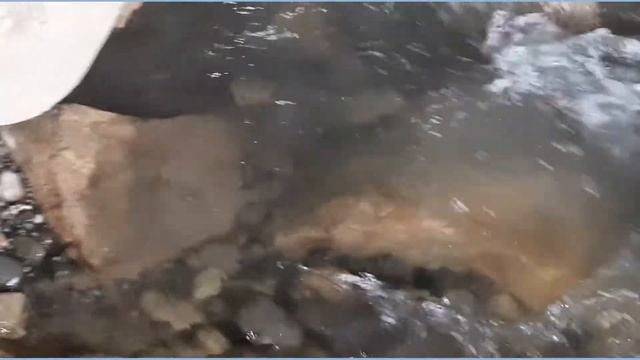 Река Каратал в городе Талдыкорган смотреть онлайн