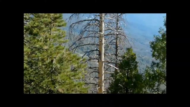 A Day At The Snow ❄ (Shaver Lake) смотреть онлайн