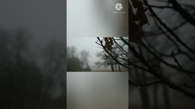 аудио стихи Павлова Василия смотреть онлайн