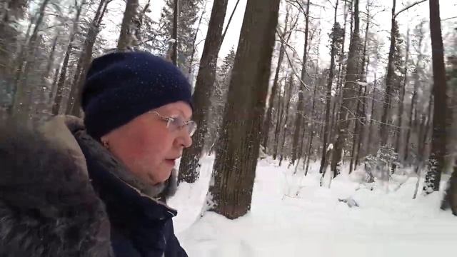 Глинтвейн в зимнем лесу, сырный суп и сардельки.16 дек 2022. Пермь. смотреть онлайн