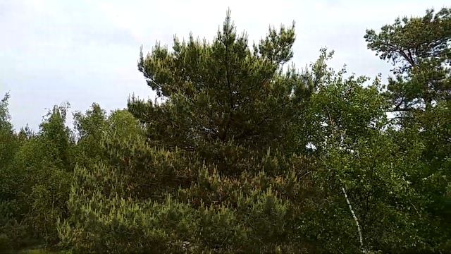 Высота Мюллера 2019 смотреть онлайн