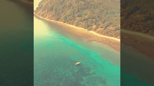 Groovy Jamaica смотреть онлайн