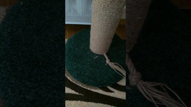 Когтеточка для котов смотреть онлайн