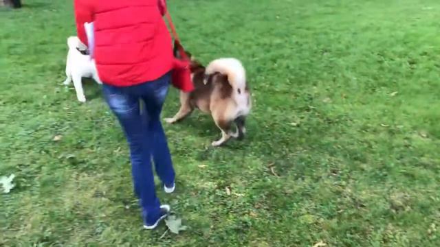 К нам приехала красотка девочка ! смотреть онлайн