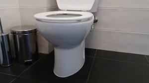 Унитаз ROCA