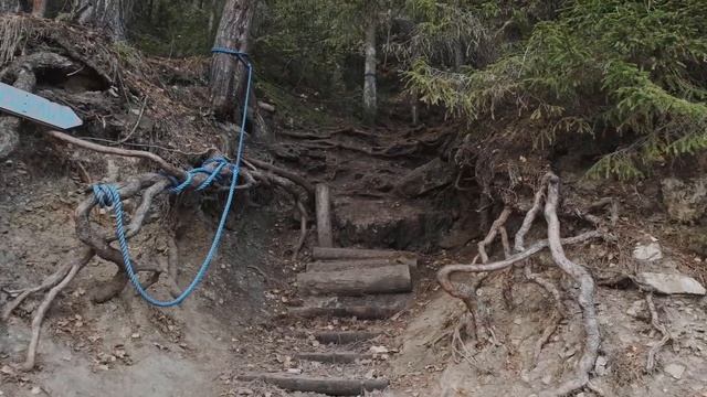 Экскурсия по Пижемскому заказнику Советский район смотреть онлайн