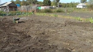 Раскислитель для почвы Советы старого пахаря  часть 5