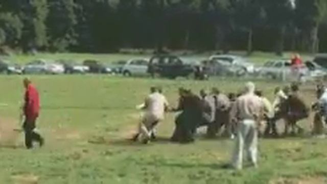 Чему равна 1 лошадиная сила смотреть онлайн