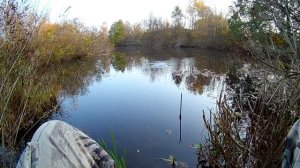 Ловля на пуфик  Рыбалка на поплавок осенью