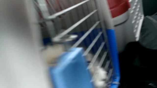 Мишка притворяется умирающим смотреть онлайн